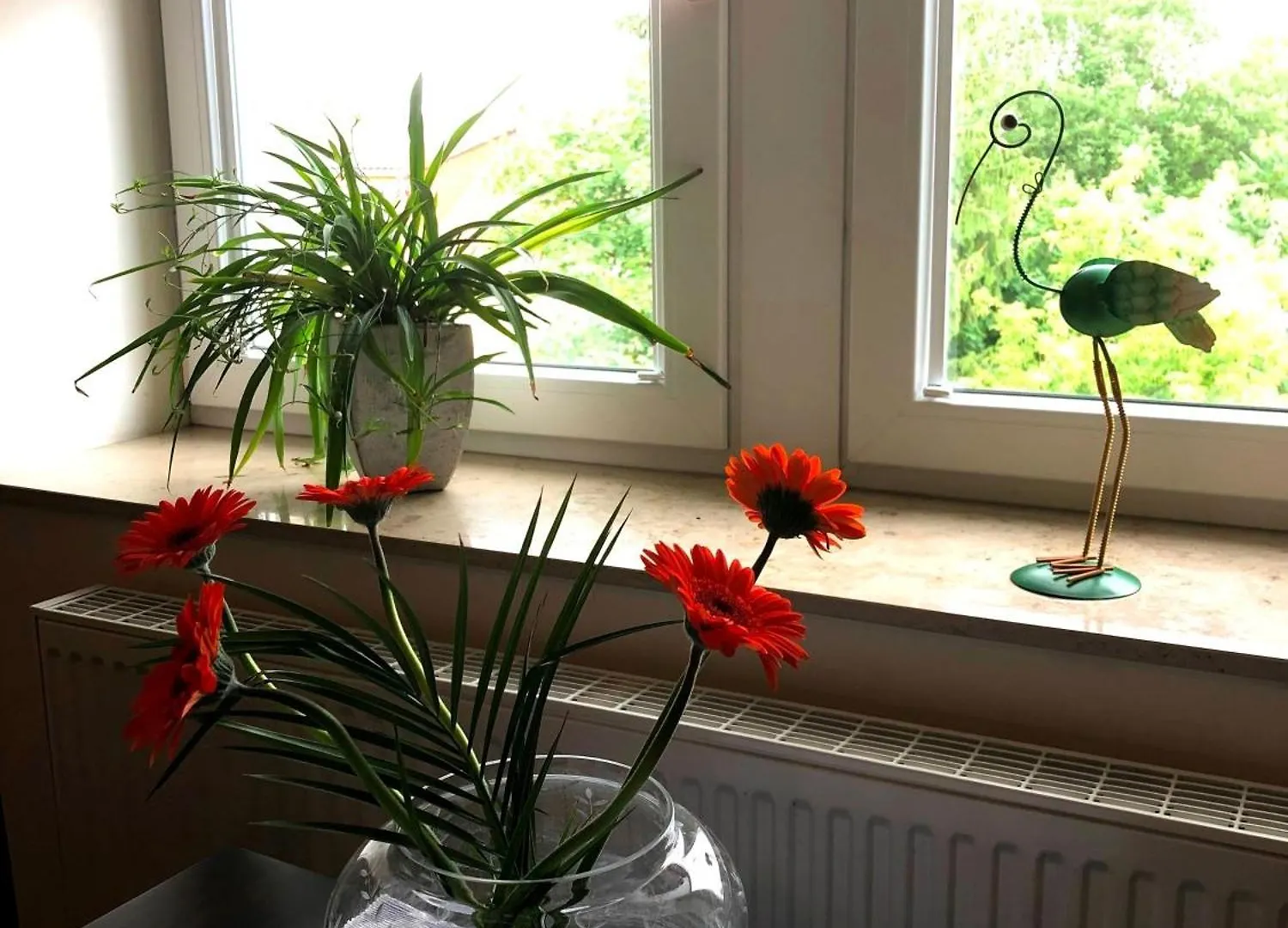 Ferienwohnung An Der Elbfaehre 드레스덴 아파트